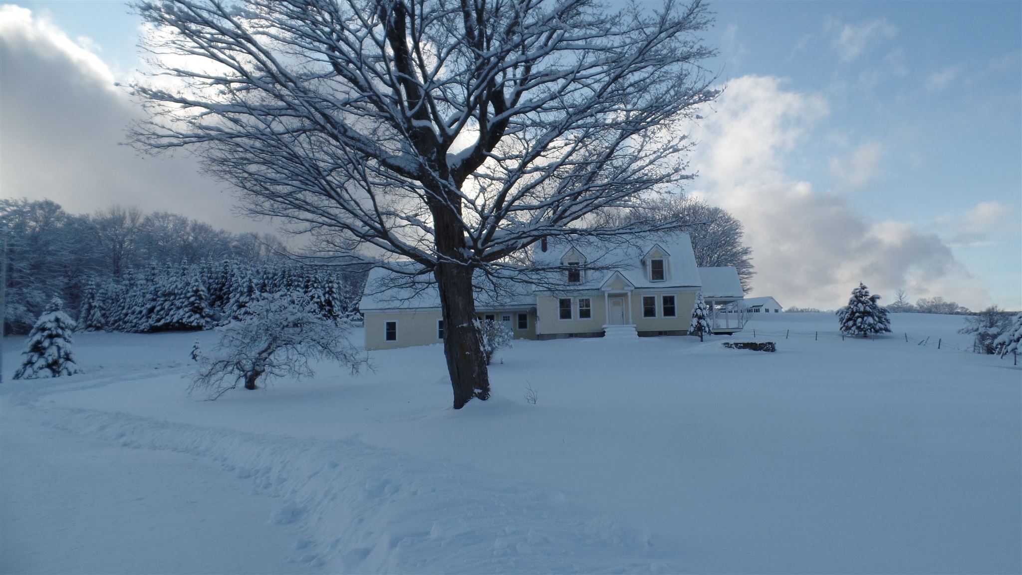 246 Phelps Road Barre Town, VT 05641 - Photo 40 of 40