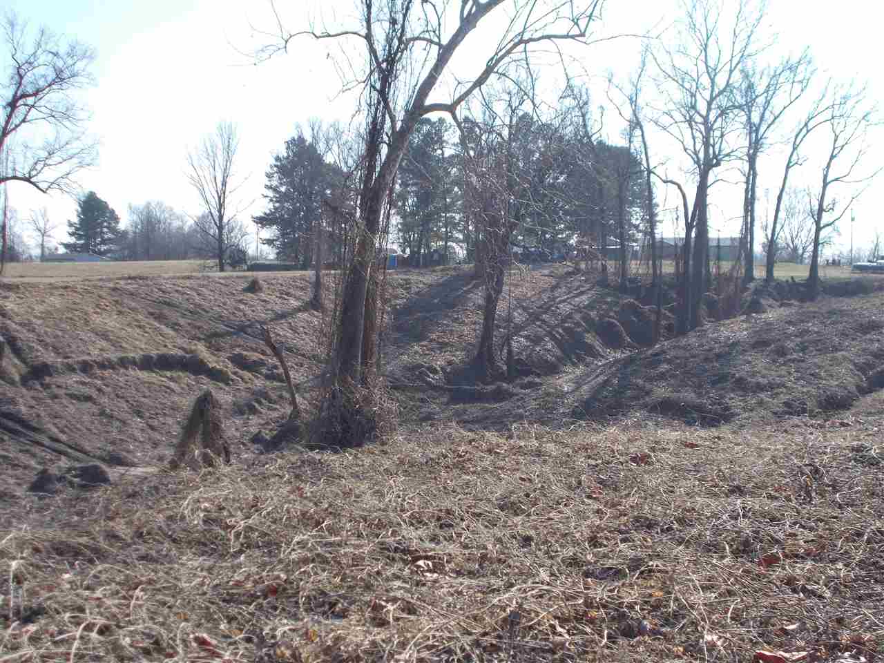 145 Harris Lane Ripley, TN 38063 - Photo 14 of 16