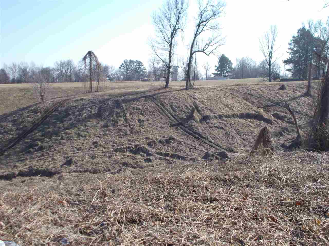 145 Harris Lane Ripley, TN 38063 - Photo 15 of 16