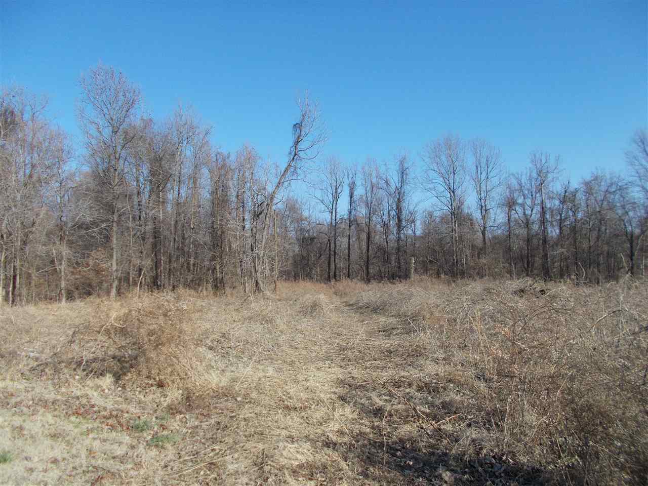 145 Harris Lane Ripley, TN 38063 - Photo 8 of 16