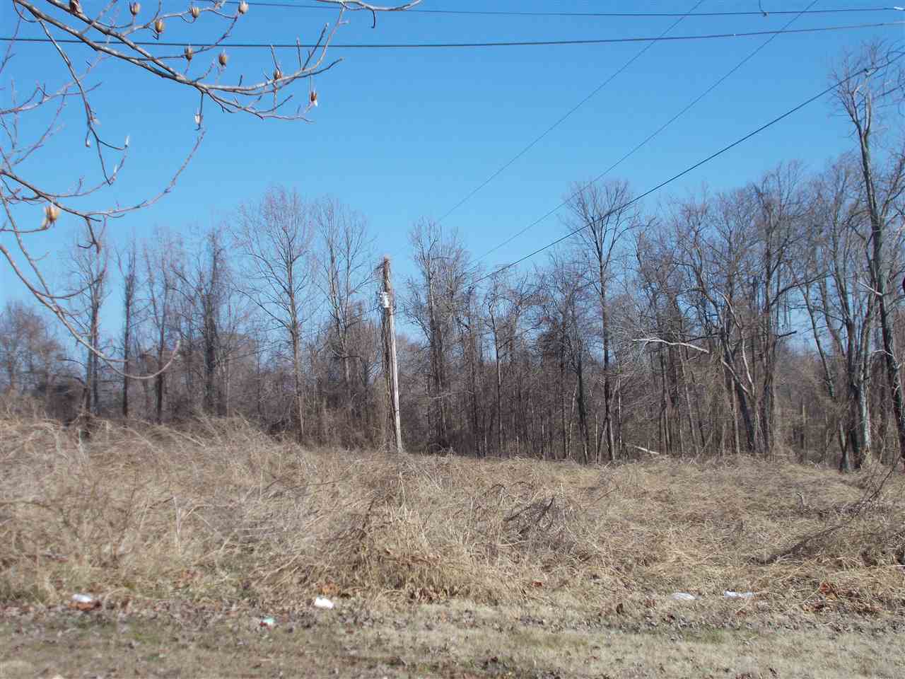 145 Harris Lane Ripley, TN 38063 - Photo 9 of 16