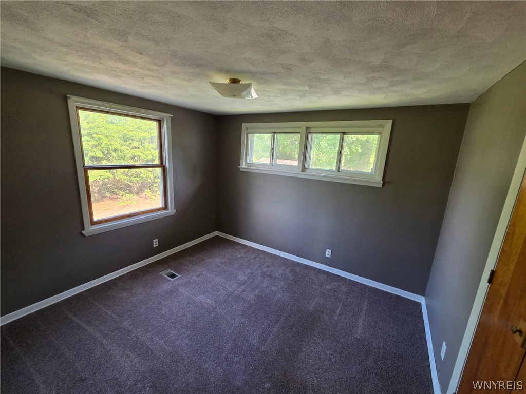 1064 Reynolds Road Darien, NY 14036 - Photo 19 of 44