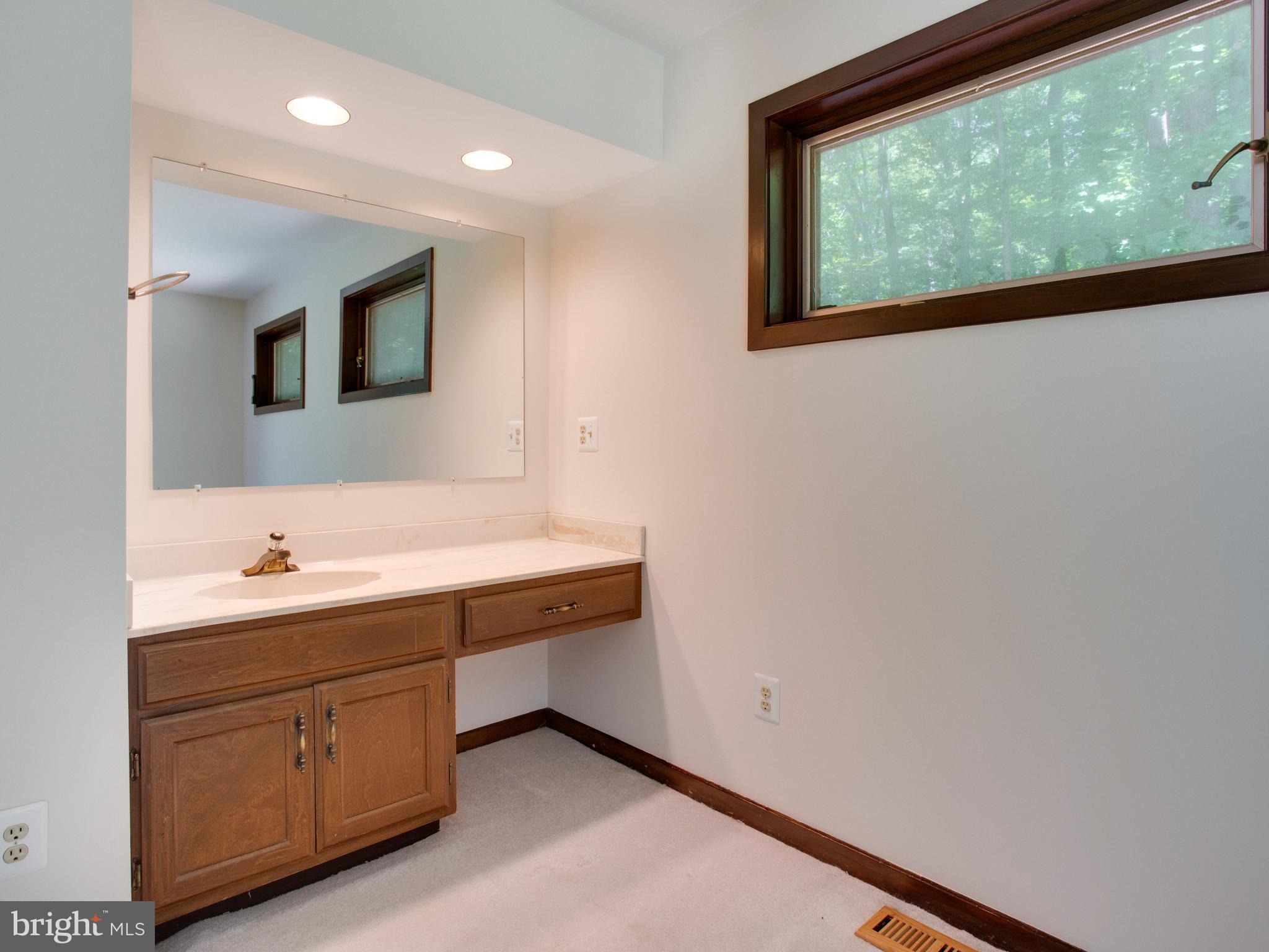 7605 Maple Branch Road Clifton, VA 20124 - Photo 14 of 30 Bath (Master)