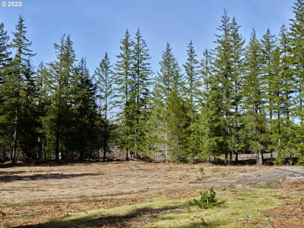 $125,000 | 6 Loowit Lane, Cougar, WA 98616