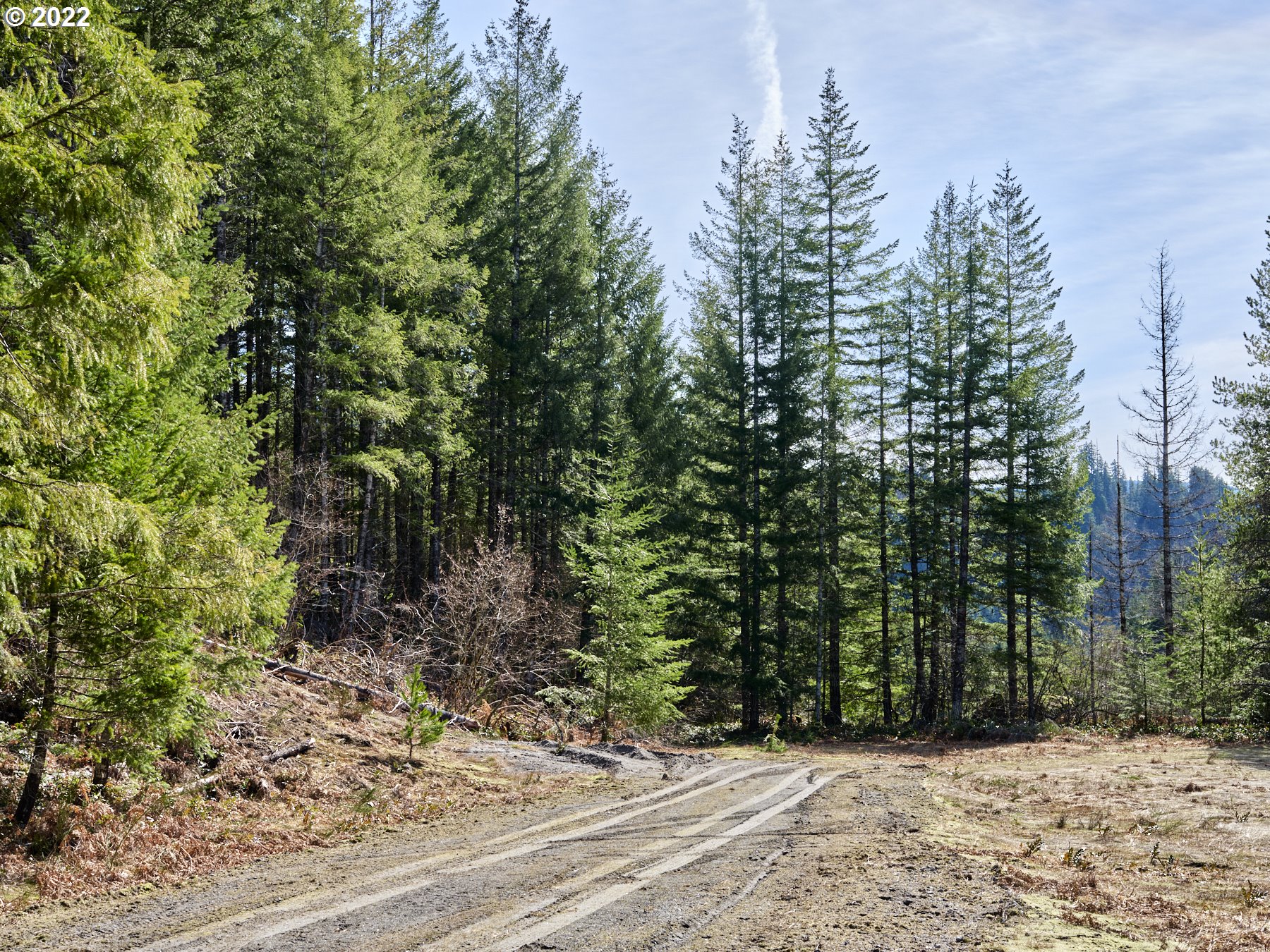 6 Loowit Lane Cougar, WA 98616 - Photo 13 of 21 Acreage