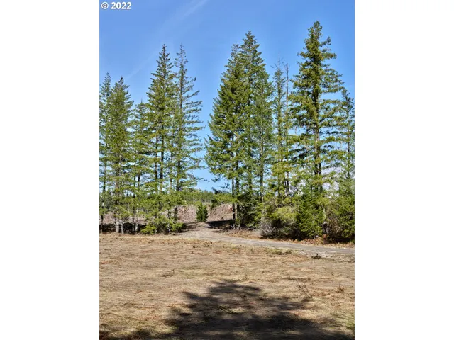 a view of outdoor space with city view