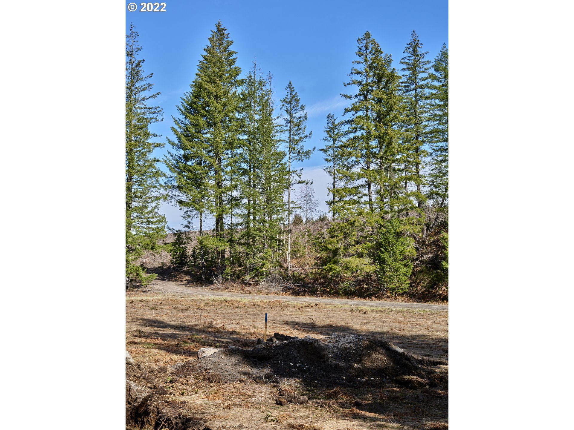 6 Loowit Lane Cougar, WA 98616 - Photo 15 of 21 Home Site