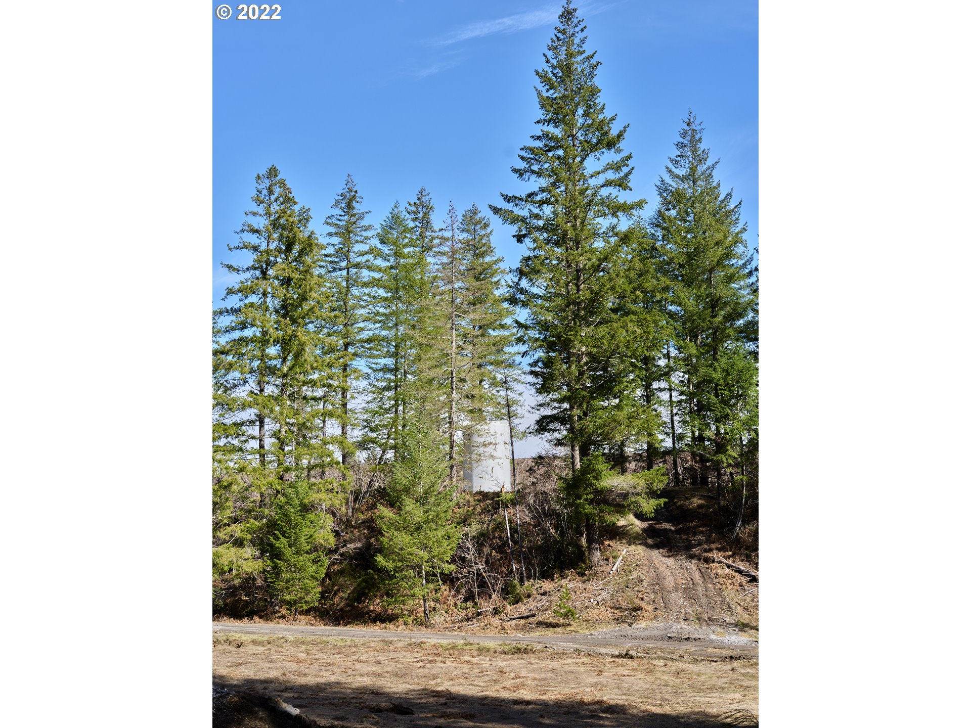 6 Loowit Lane Cougar, WA 98616 - Photo 16 of 21 Home Site