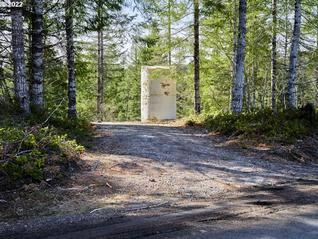 a view of a yard with plants and trees