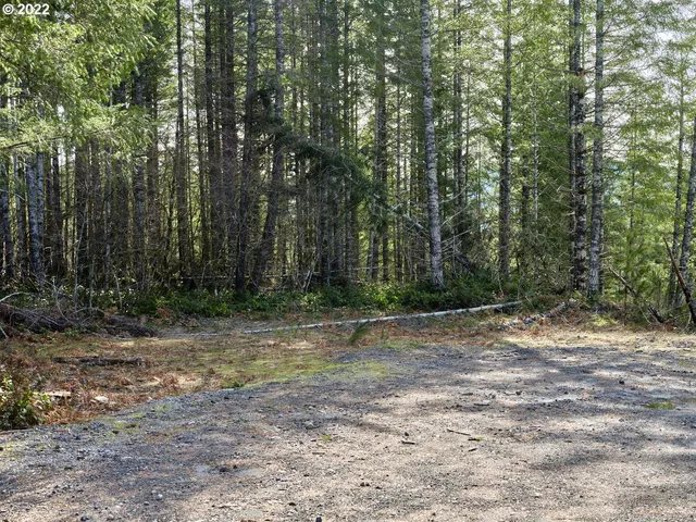 a view of a yard with trees in the background