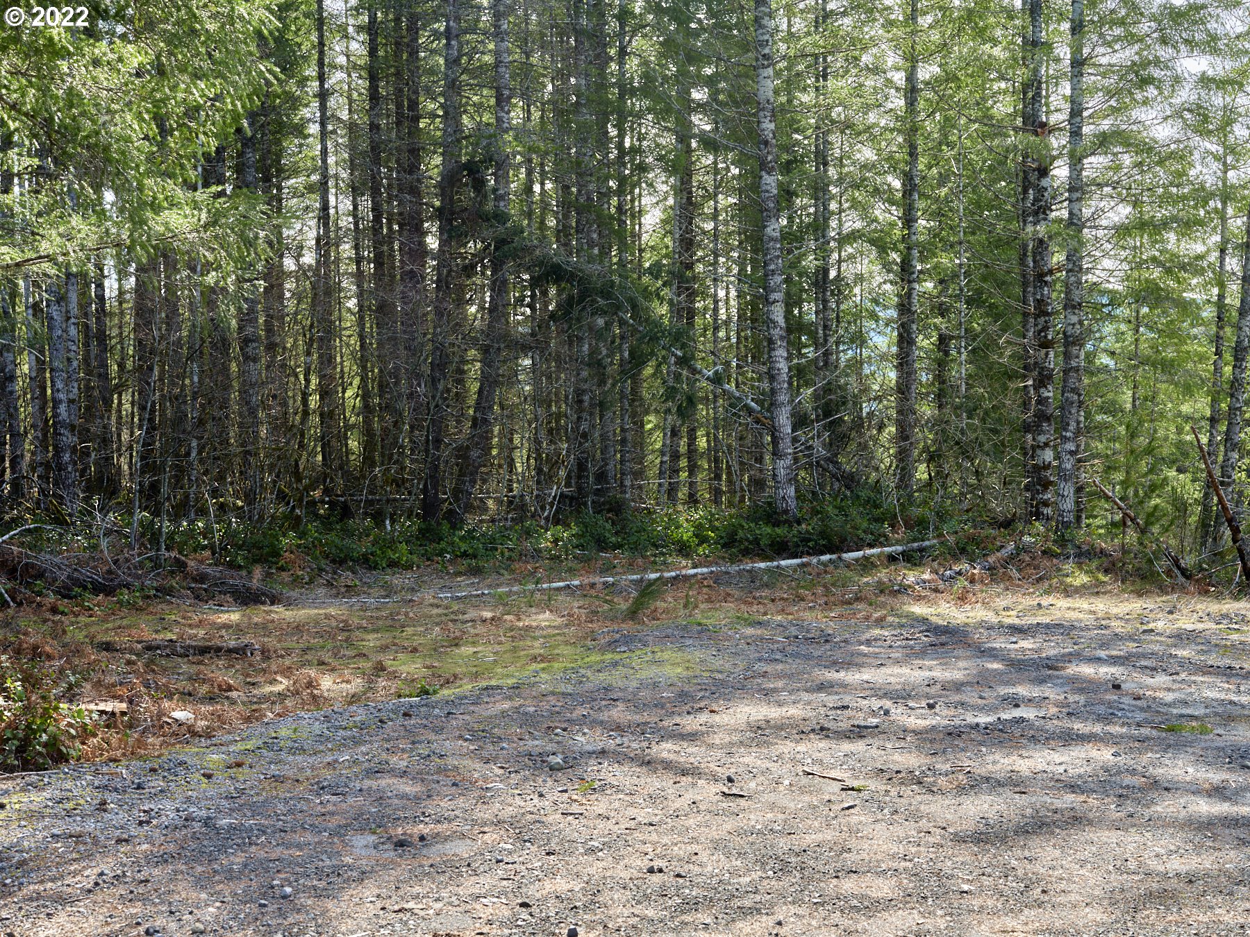 6 Loowit Lane Cougar, WA 98616 - Photo 18 of 21 Acreage