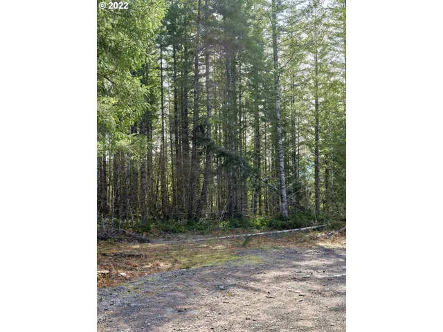 a view of a yard with trees