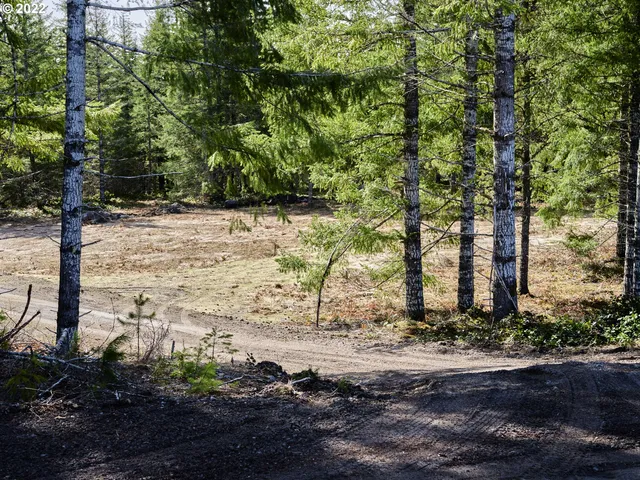 a view of a yard with trees