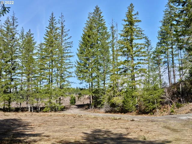 a view of a patio with table and chairs and potted plants