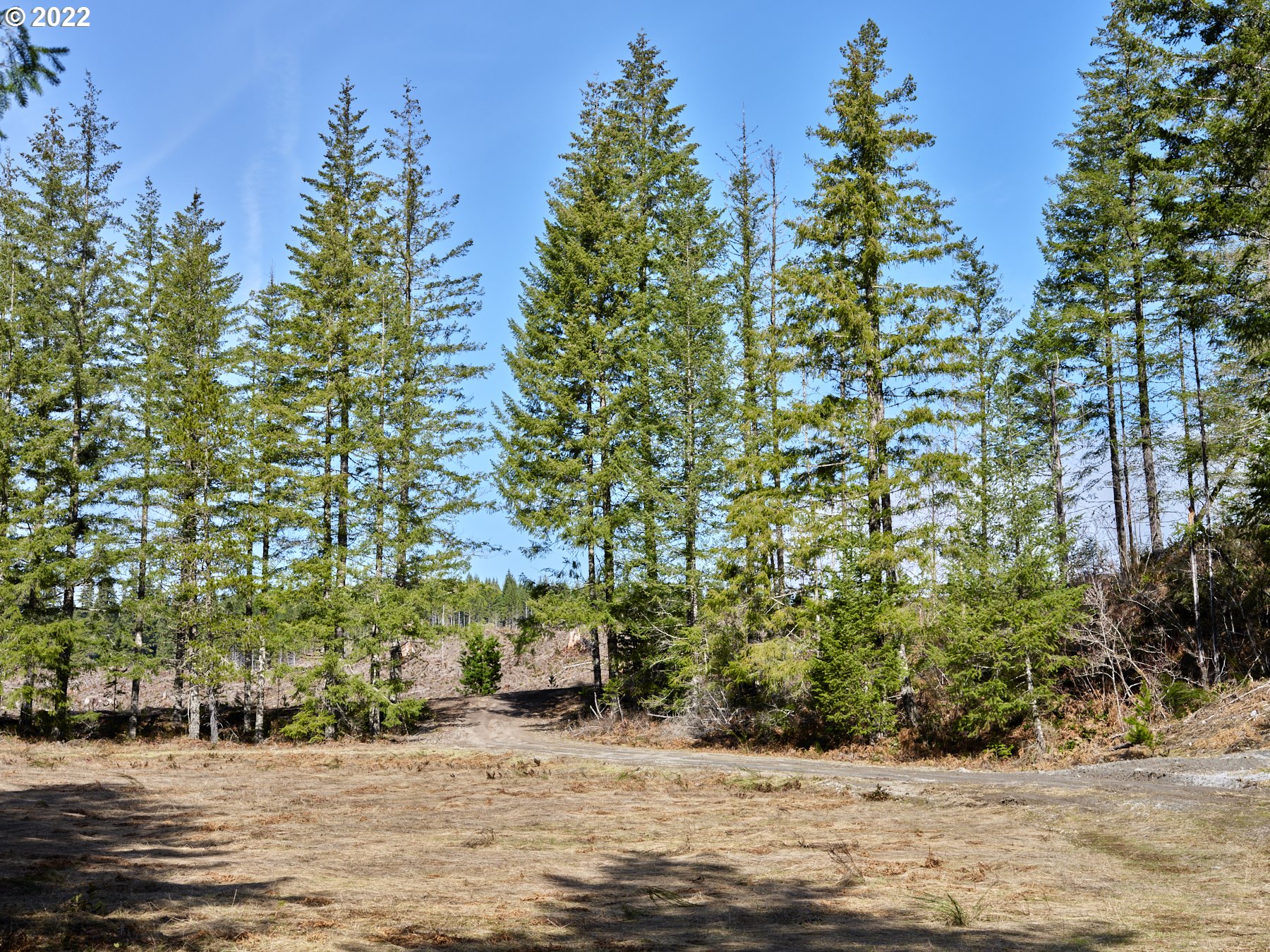 6 Loowit Lane Cougar, WA 98616 - Photo 3 of 21 Home Site