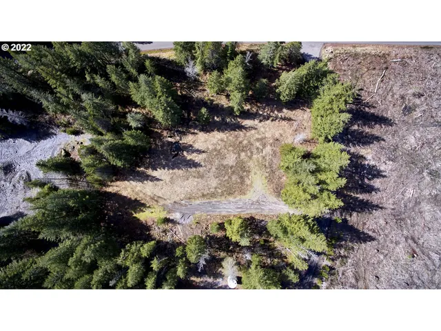 a view of a bunch of trees and bushes