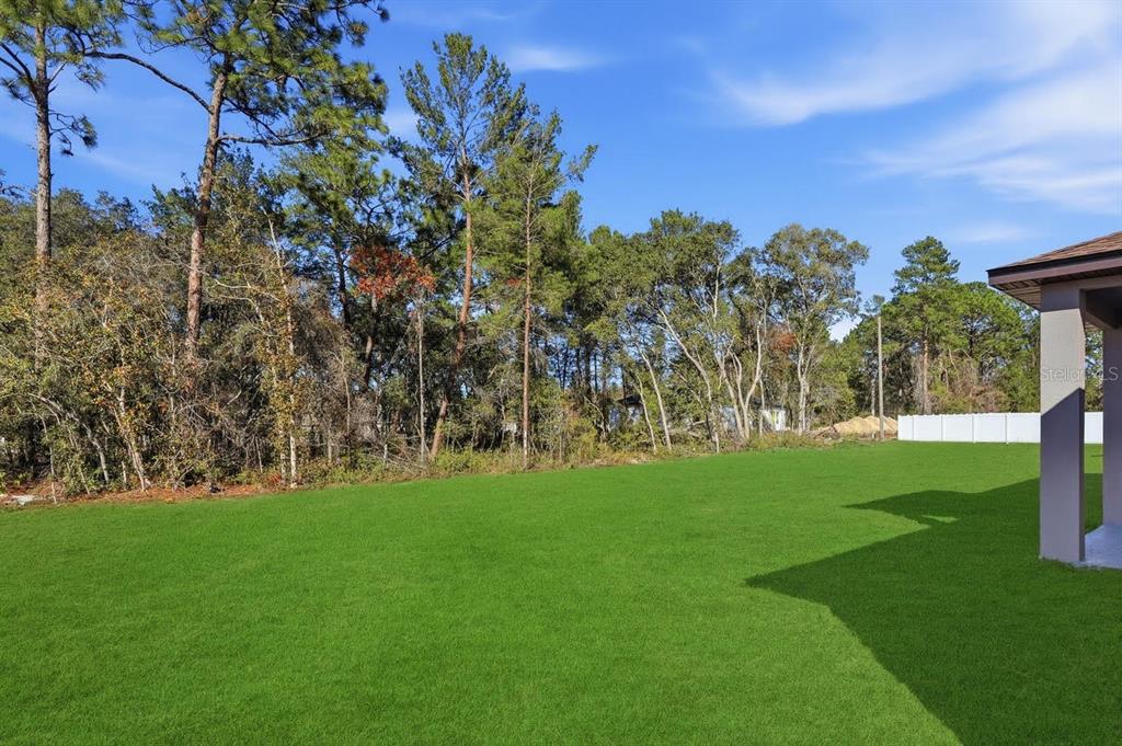 4465 Southwest 152nd Street Ocala, FL 34473 - Photo 46 of 47