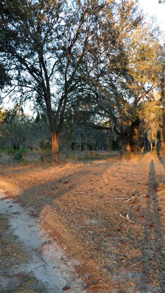 Unassigned Pisgah Road Perry, FL 32347 - Photo 3 of 3