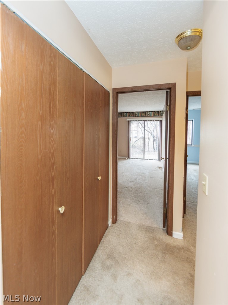 3265 Mayfield Road, Unit 29 Cleveland, OH 44118 - Photo 23 of 44