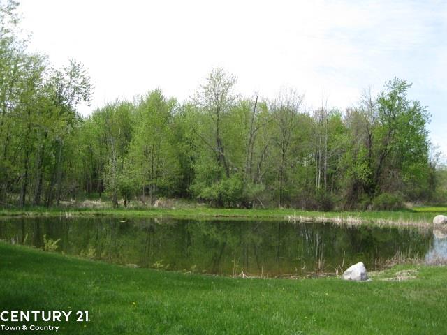 6038 Bordman Road Romeo, MI 48065 - Photo 5 of 32