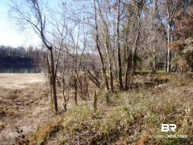 0 Sandy Bottoms Road Gainestown, AL 36540 - Photo 2 of 5