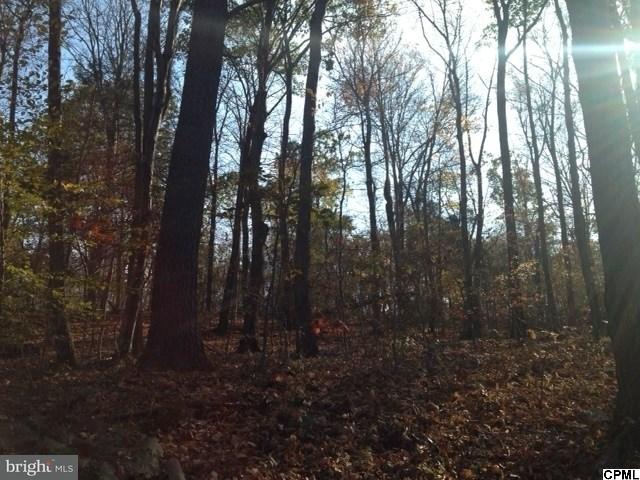 Lot 2 Center Square Road Blain, PA 17006 - Photo 1 of 1 Gallery Image 1