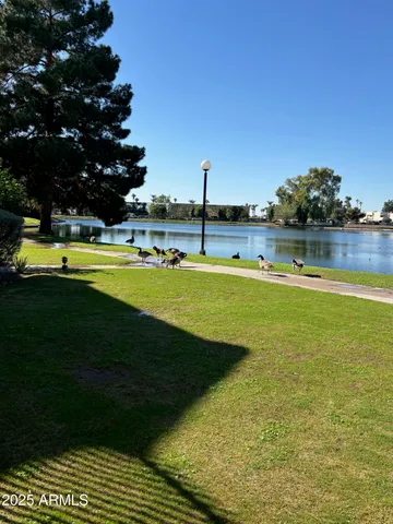 a view of a swimming pool with a lake view