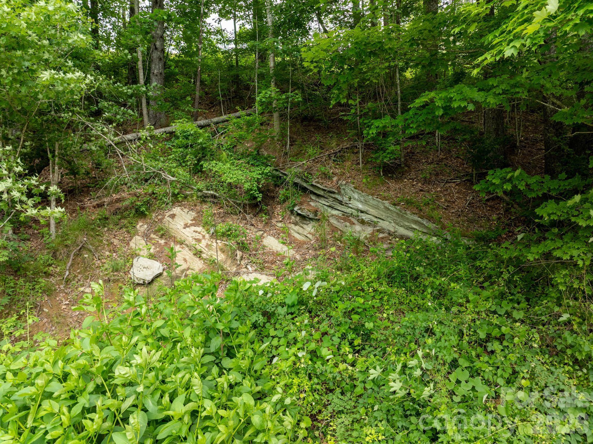 Tbd Tbd Sycamore Road Vilas, NC 28692 - Photo 36 of 38