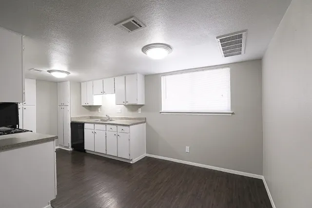 a kitchen with a sink cabinets and wooden floor