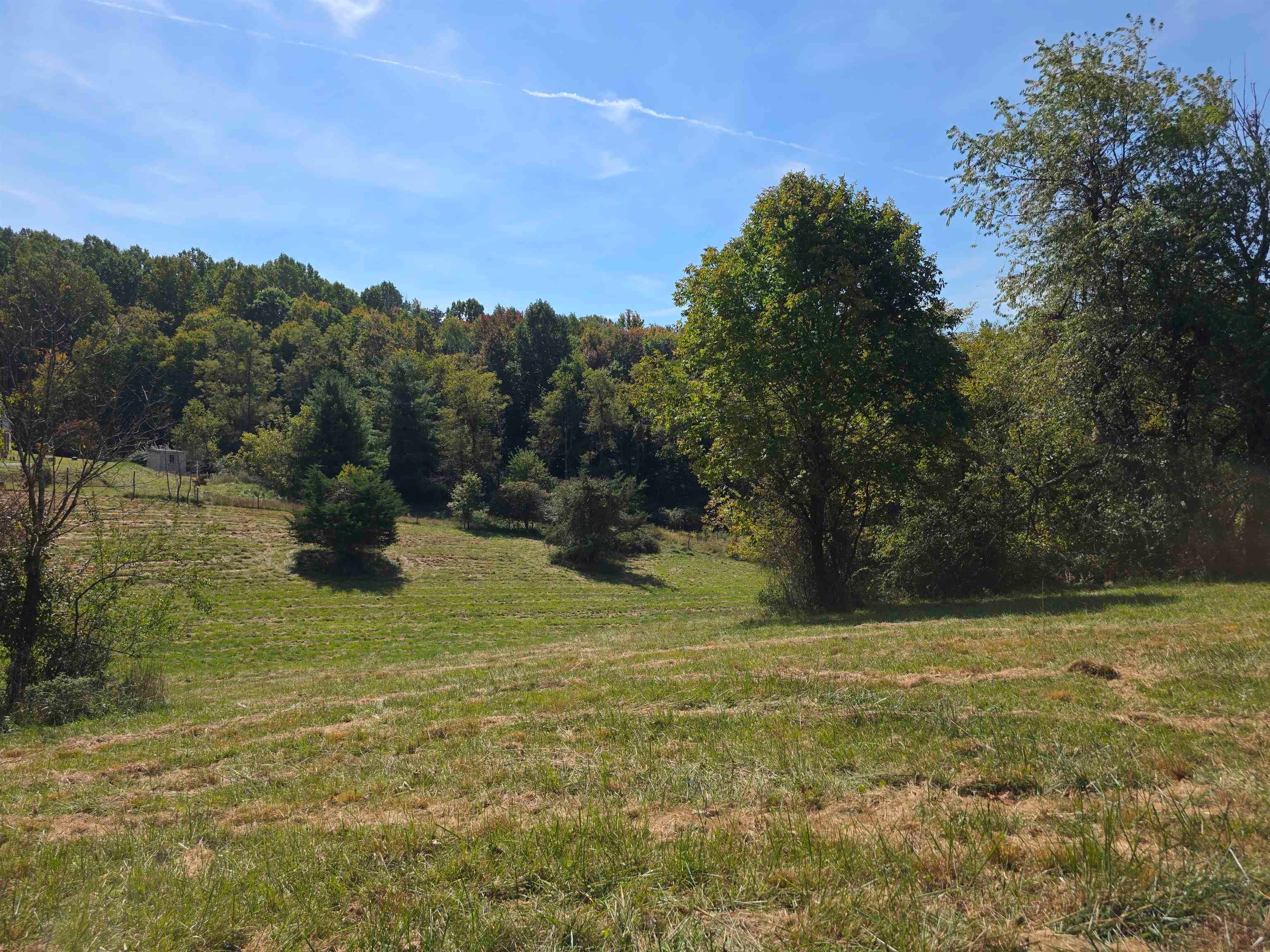 Tbd Ridge Road Northeast Pilot, VA 24138 - Photo 19 of 26 Gallery Image 19