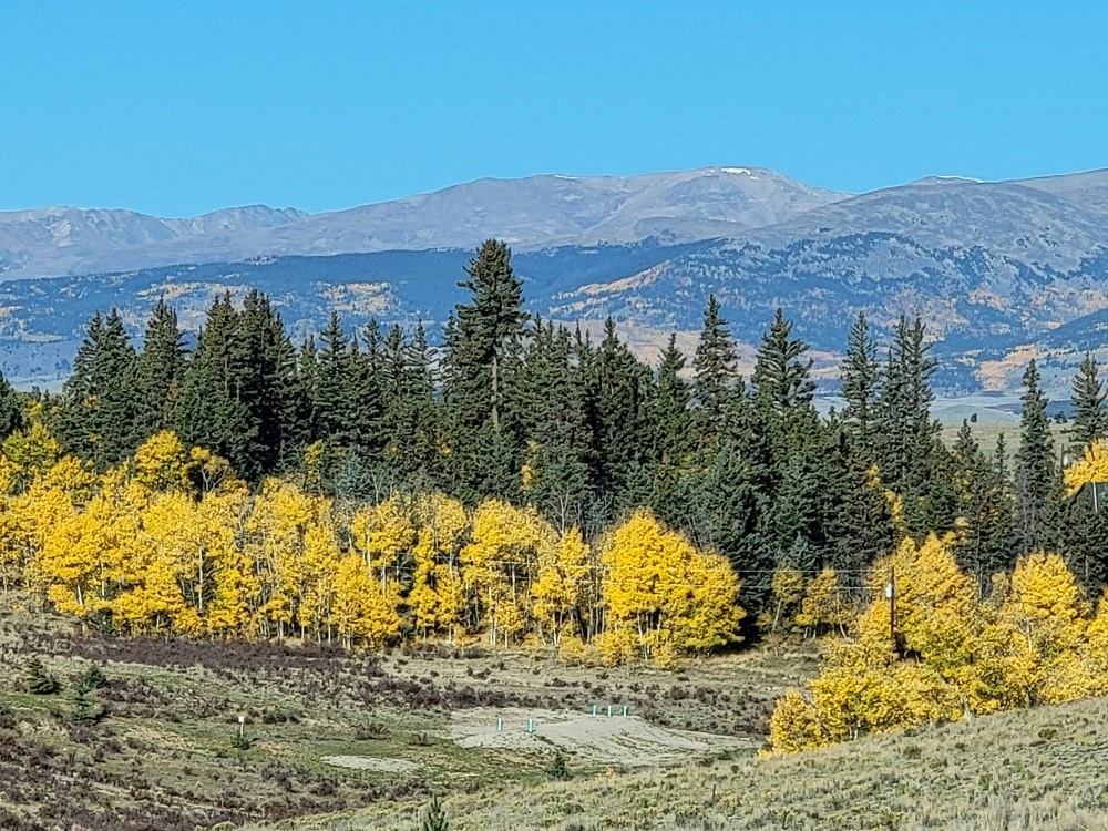 a view of a yard with a mountain
