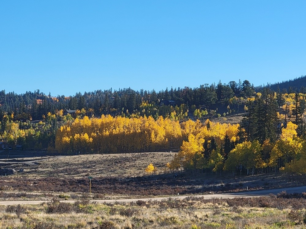 431 Arrowhead Drive Como, CO 80432 - Photo 12 of 25 a view of a yard