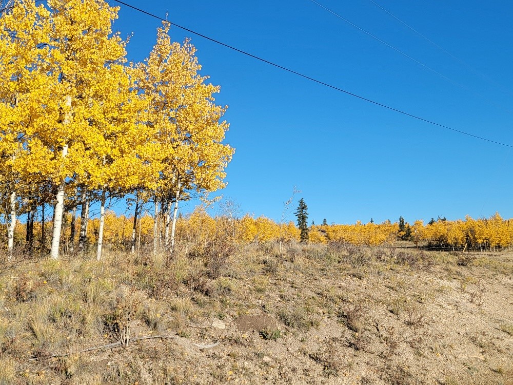431 Arrowhead Drive Como, CO 80432 - Photo 13 of 25 a view of ocean