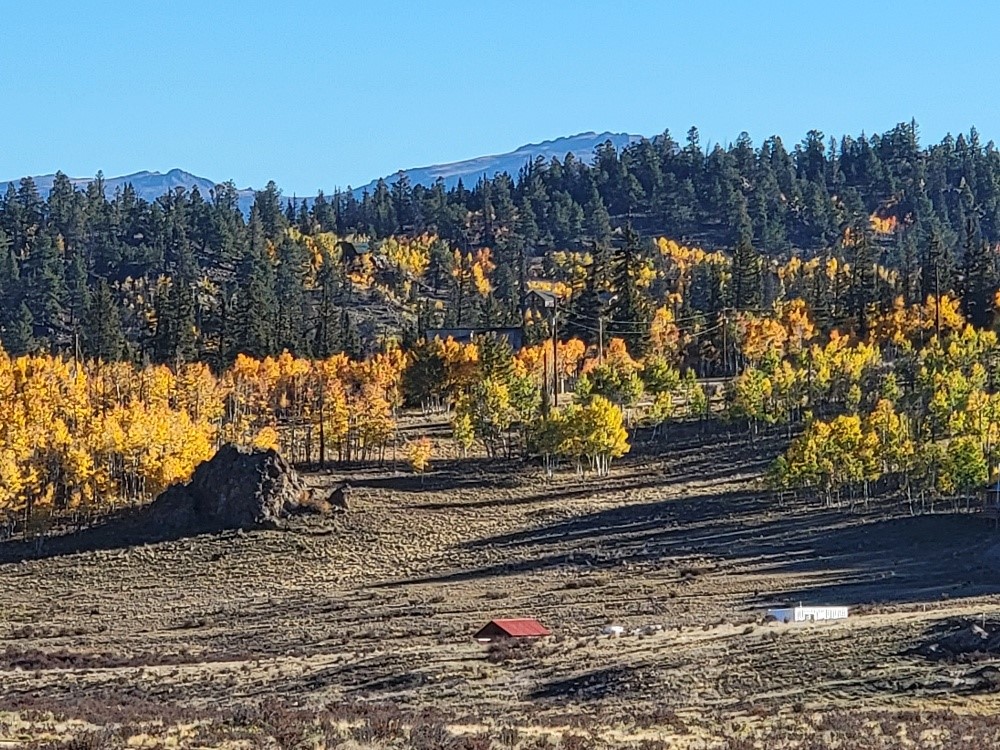 431 Arrowhead Drive Como, CO 80432 - Photo 15 of 25 a view of a yard