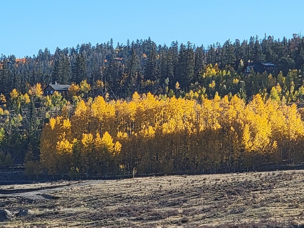 431 Arrowhead Drive Como, CO 80432 - Photo 16 of 25 a view of a yard covered with snow
