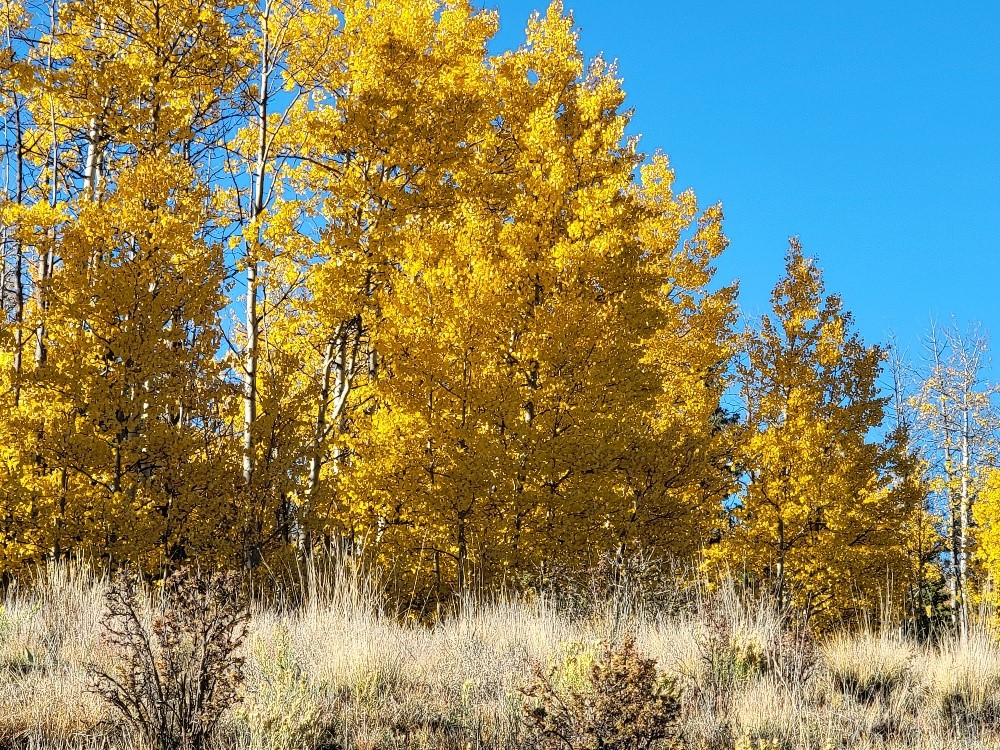 431 Arrowhead Drive Como, CO 80432 - Photo 17 of 25
