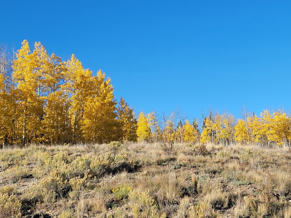 431 Arrowhead Drive Como, CO 80432 - Photo 19 of 25 a view of a field