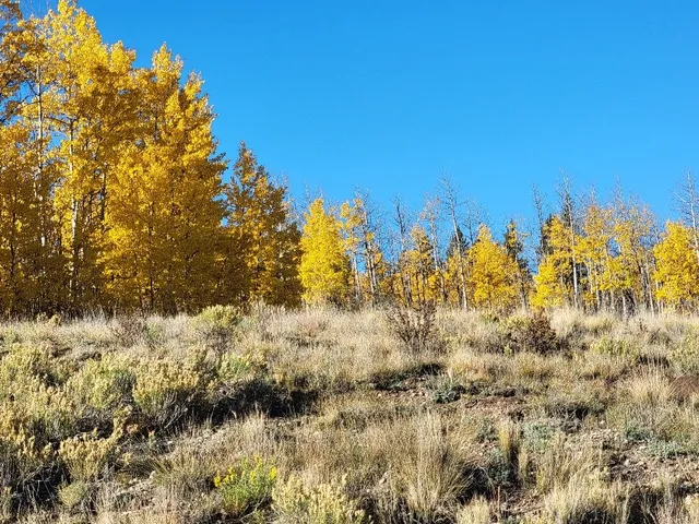 a view of ocean view