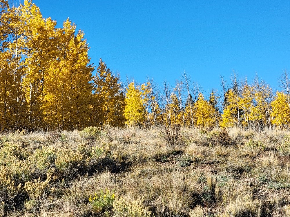 431 Arrowhead Drive Como, CO 80432 - Photo 20 of 25 a view of ocean