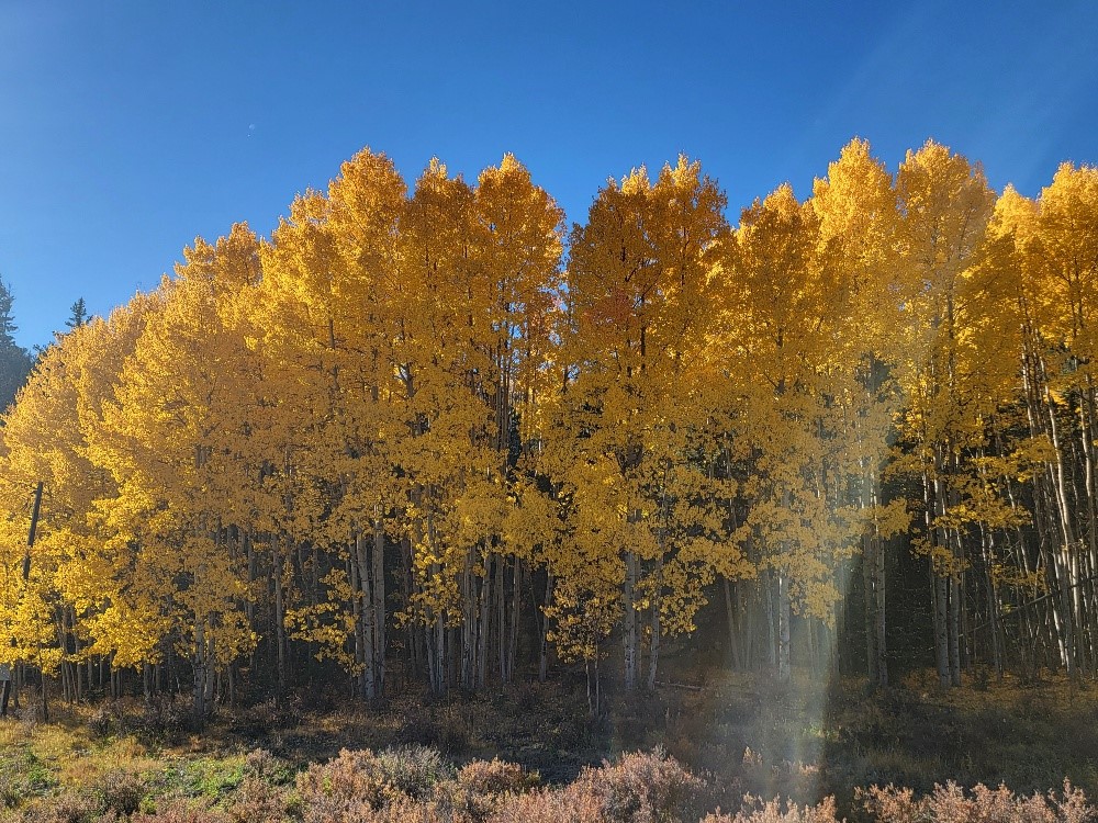 431 Arrowhead Drive Como, CO 80432 - Photo 22 of 25 a view of lake with green space