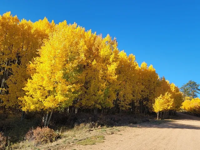 $45,000 | 431 Arrowhead Drive, Como, CO 80432