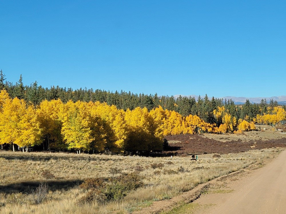431 Arrowhead Drive Como, CO 80432 - Photo 25 of 25 a view of lake view