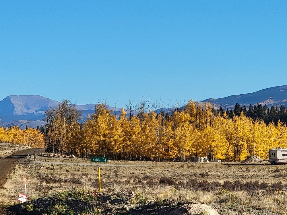 431 Arrowhead Drive Como, CO 80432 - Photo 3 of 25 a view of a yard with a tree