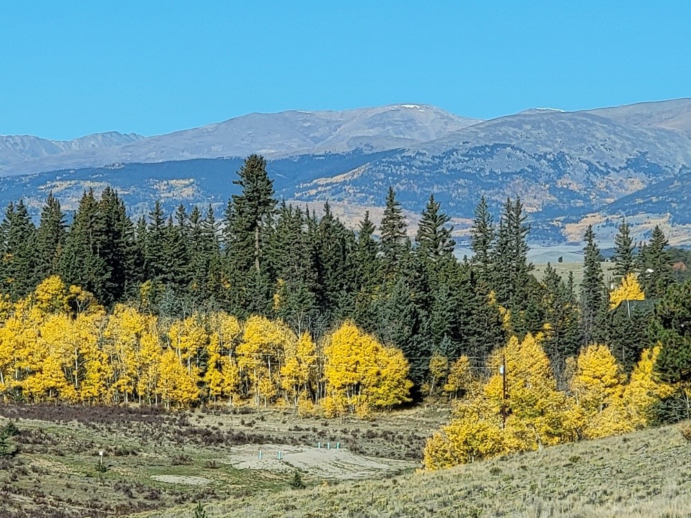 431 Arrowhead Drive Como, CO 80432 - Photo 7 of 25 a view of a yard with a mountain