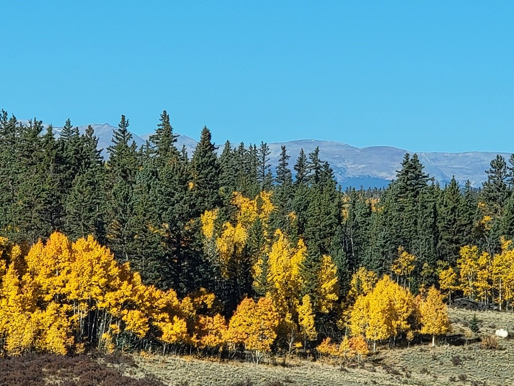 431 Arrowhead Drive Como, CO 80432 - Photo 8 of 25