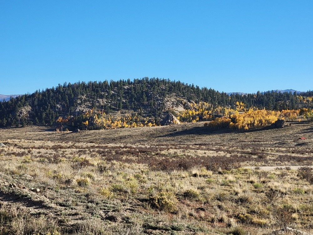 431 Arrowhead Drive Como, CO 80432 - Photo 9 of 25