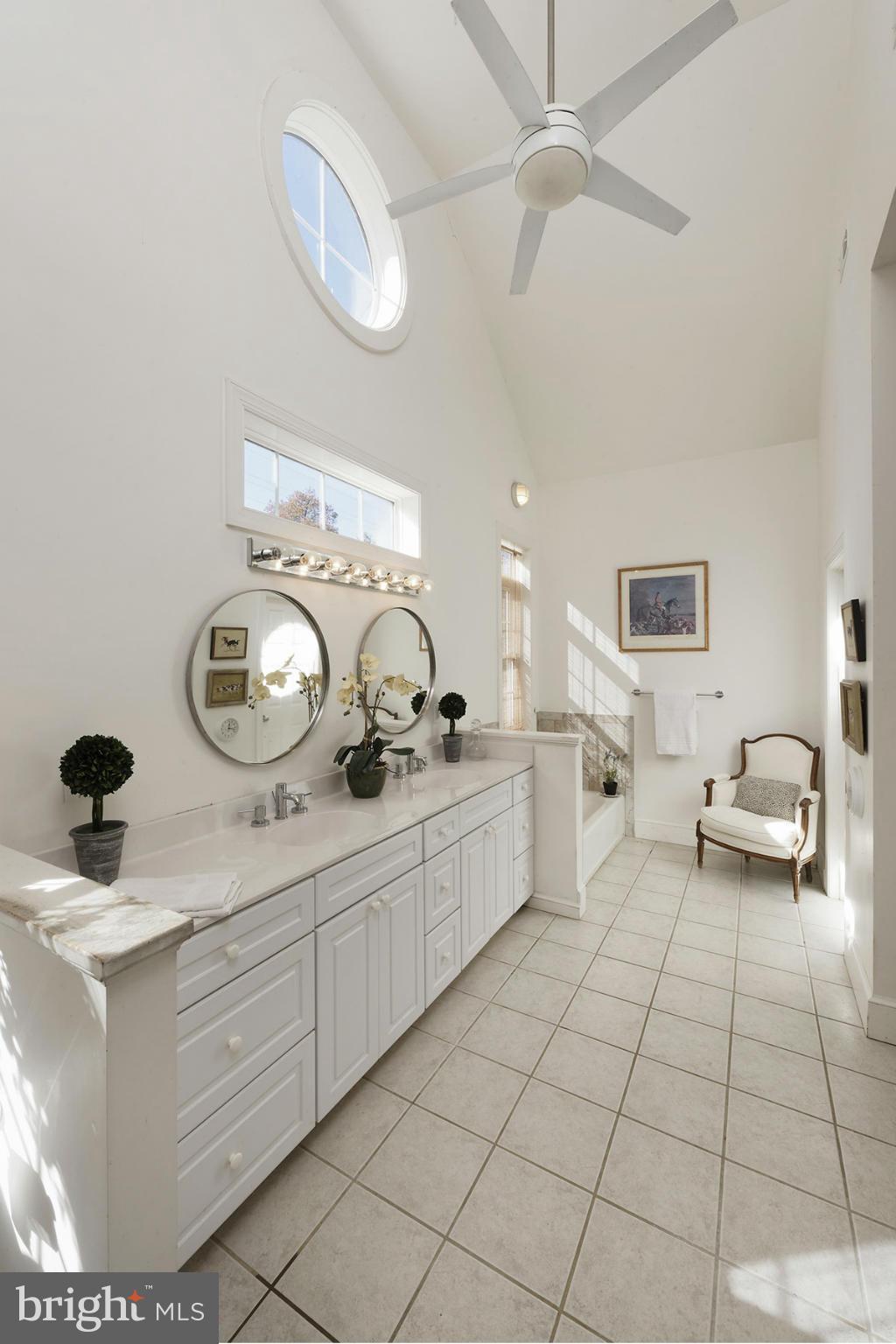 1176 Delaplane Grade Road Upperville, VA 20184 - Photo 15 of 30 Bath (Master) with high ceiling & lots of light