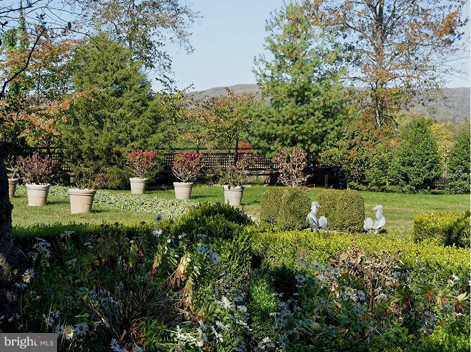 1176 Delaplane Grade Road Upperville, VA 20184 - Photo 20 of 30 Lovely landscaped gardens.