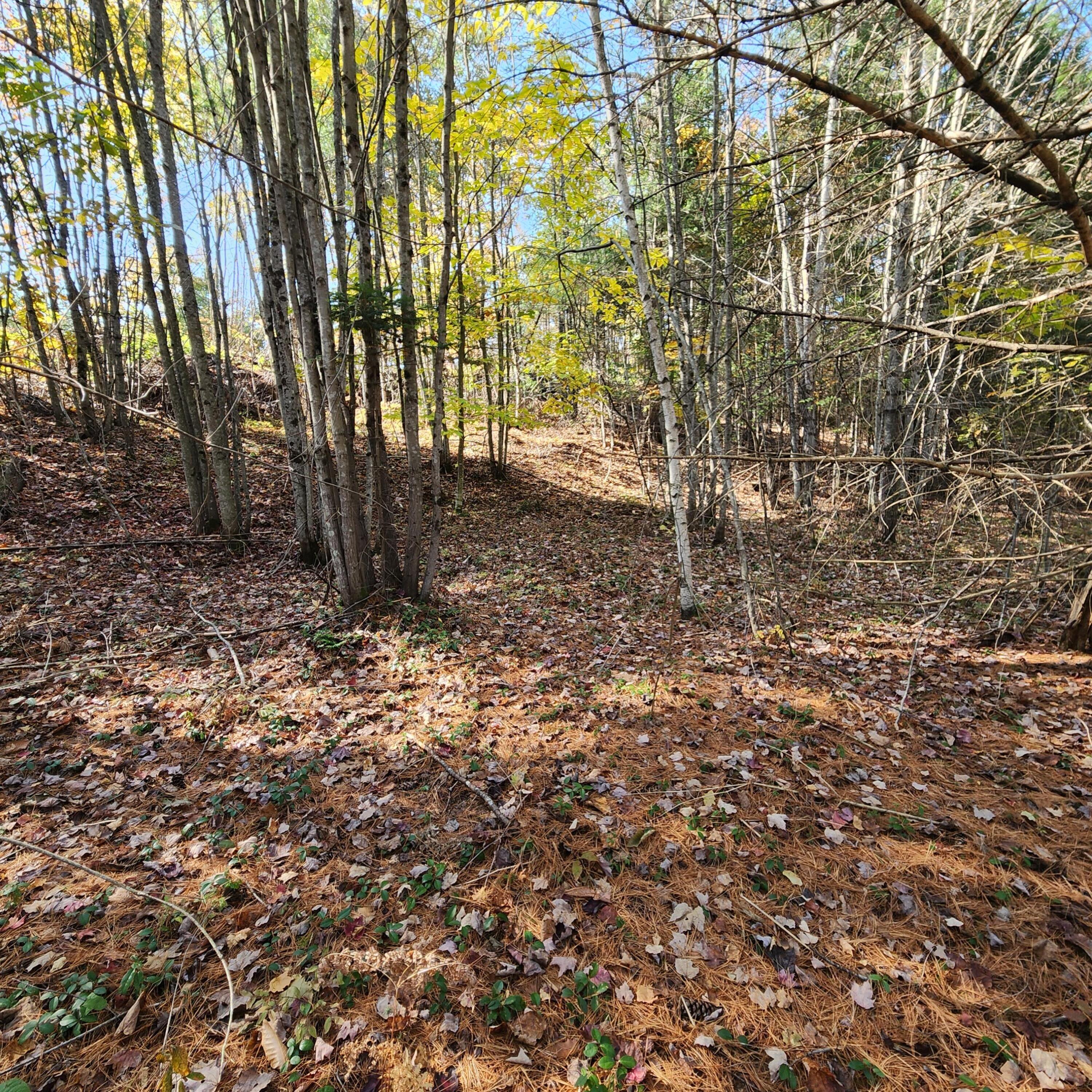 Map2 Map2 Lot7g Livermore, ME 04253 - Photo 21 of 21 20241019_130222