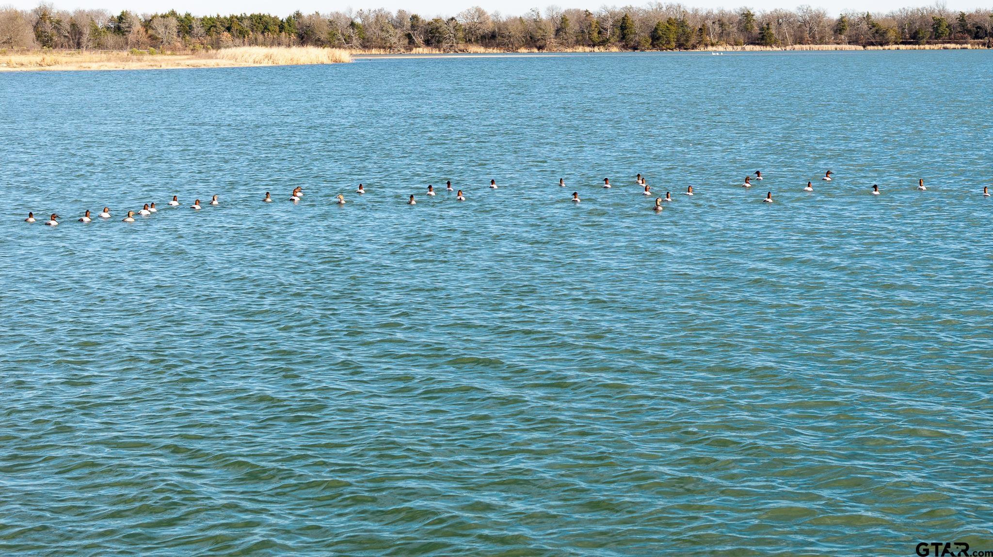 779 County Road 33060 Sumner, TX 75486 - Photo 15 of 48